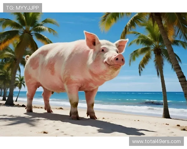 开运在线登录平台全面升级，提供多样化的运势分析助力用户开启幸运人生